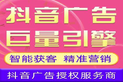 搜索引擎营销（SEM）的投放策略与效果评估——以某行业领先企业的案例分析